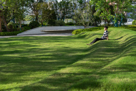 Ballistic Architecture Machine